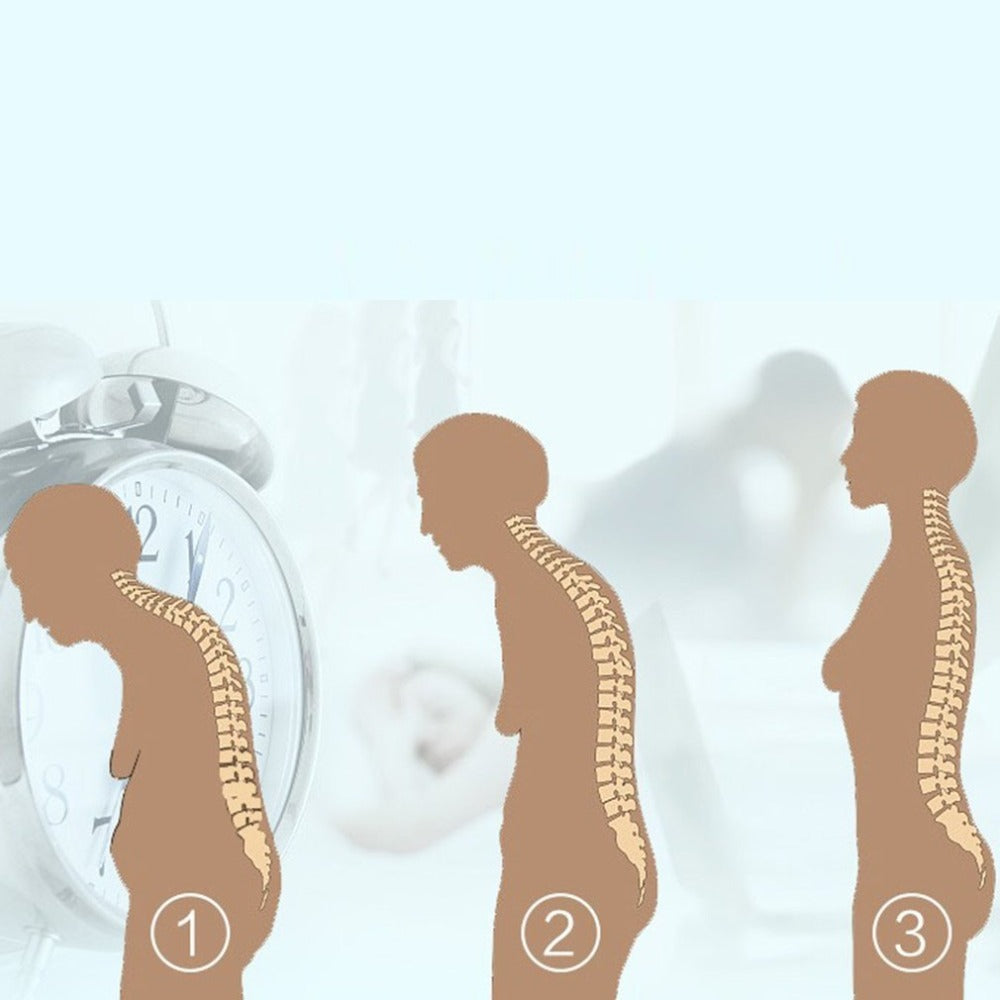 SpineAlign Pro